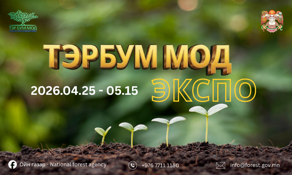 ТАРЬСАН МОДОО ХЭРХЭН БҮРТГҮҮЛЭХ ВЭ? 