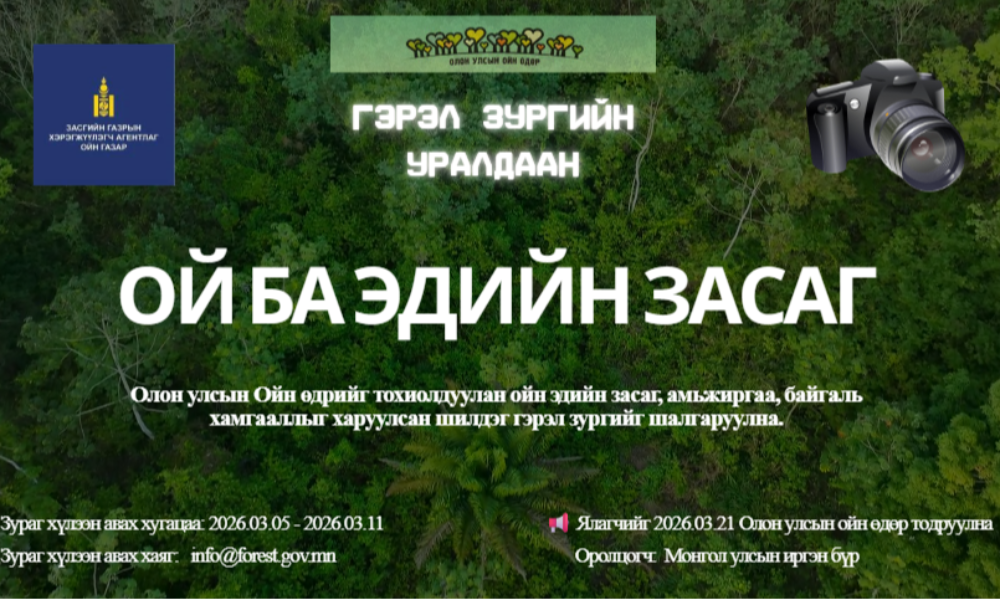 ОЛОН УЛСЫН ОЙН ӨДРИЙГ ТОХИОЛДУУЛАН ОЙН ЭДИЙН ЗАСАГ, АМЬЖИРГАА, БАЙГАЛЬ ХАМГААЛЛЫГ ХАРУУЛСАН ШИЛДЭГ ГЭРЭЛ ЗУРГИЙГ ШАЛГАРУУЛНА.