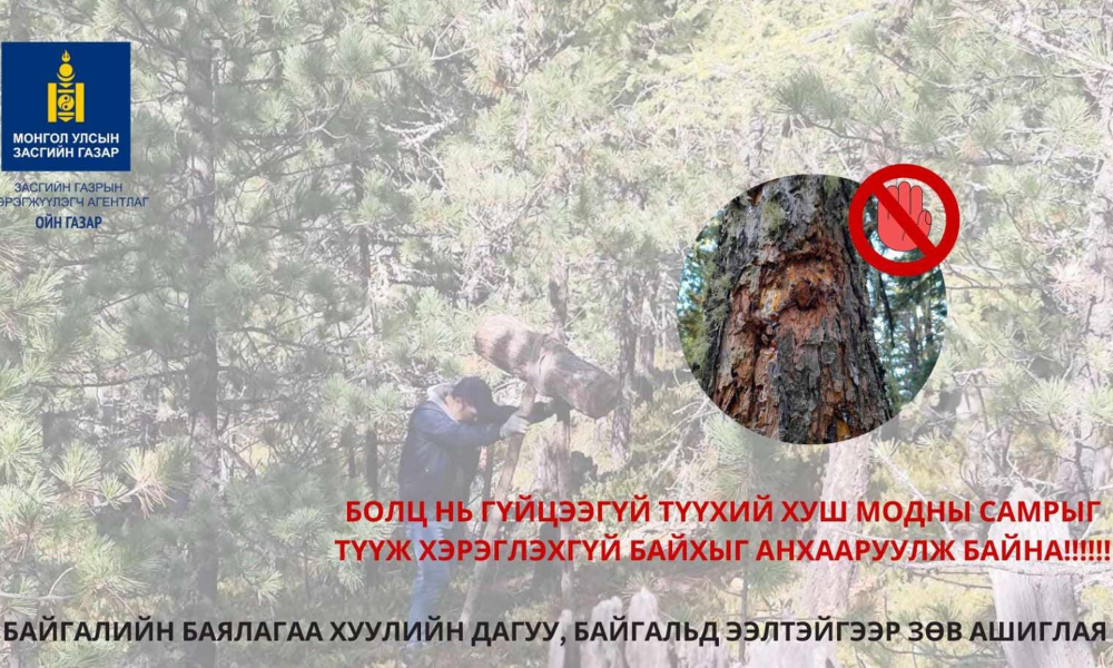 Ойн газар | Засгийн газрын хэрэгжүүлэгч агентлаг