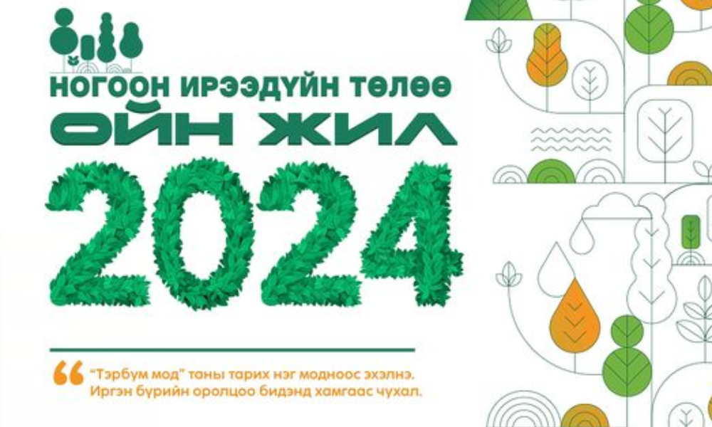 ОЙН ЖИЛ 2024