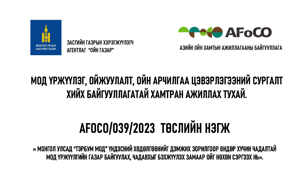 Дорнод аймгийн Байгаль орчны газар, сум дундын ойн анги, ойн мэргэжлийн байгууллага, ойн нөхөрлөл, орон нутгийн иргэдэд мод үржүүлэг, ойжуулалт, ойн цэвэрлэгээний сургалт хийх Их сургууль, мэргэжлийн аж ахуйн нэгж, мэргэжлийн ТББ-тай хамтран ажиллана.