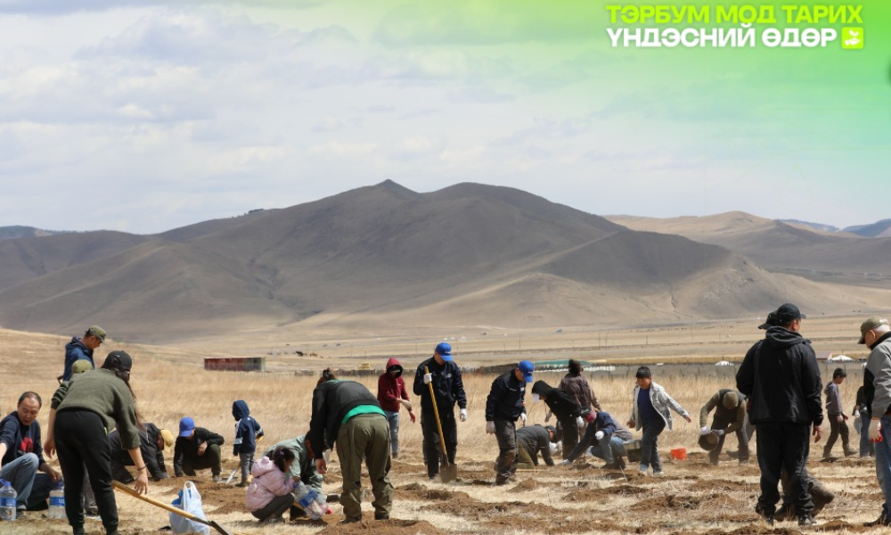 ✅Монгол Улсын Ерөнхийлөгчийн зарлигаар жил бүрийн 5 болон 9 дүгээр саруудын Бямба, Ням гарагуудыг тэрбум мод тарих үндэсний өдөр болгон зарласан.
✅Тэрбум мод тарих үндэсний өдрийн нээлтийн мод тарих арга хэмжээг Сонгинохайрхан дүүрэг, 21 дүгээр хороо Ар гүнт “Инчон мөрөөдлийн төгөл”-д зохион байгууллаа. 
✅Мод тарих арга хэмжээнд:
Нийслэлийн байгаль орчны газар,
Нийслэлийн Газар зохин байгуулалтын алба ,
Сонгинохайрхан дүүргийн ИТХ, ЗДТГ, Харъяа хэлтэс, алба, тасаг, Дүүргийн өмчит үйлдвэрийн газрууд, Иргэдийн Нийтийн Хурал, хороод,
Бэлчээрийн менежмент төслийн нэгж ОНӨТҮГ,
Нийслэлийн Хүнс, хөдөө аж ахуйн газар,
Нийслэлийн Өмчит Улаанбаатар зүүн азийн залуучуудын наадам зохион байгуулах хороо ХК,
Улаанбаатар хотын нийтийн аж ахуйг сайжруулах хоёр дахь төслийг удирдах нэгж,
Улаанбаатар хотын орлогод нийцсэн ногоон орон сууц ба дасан зохицох чадвар бүхий хотын шинэчлэл салбарын төсөл,
Улаанбаатар хотын хатуу хог хаягдлын байгууламжийг шинэчлэх төслийн нэгж,
Улаанбаатар хотын хүнсний хог хаягдлыг дахин боловсруулах төсөл,
Хандгай авто клуб,
Хаан моторсын хамт олон оролцож 600 гаруй шинэс мод тарьлаа.
✅Тэрбум мод үндэсний хөдөлгөөний хүрээнд бүх нийтээр мод, сөөг тарих, арчлан ургуулах үйл хэрэгт идэвхтэй оролцож, сурталчлан таниулж, түгээн дэлгэрүүлэхийг Монгол Улсын нийт ард иргэд, айл өрх, төрийн болон төрийн бус байгууллага, аж ахуйн нэгж, хөгжлийн түнш байгууллагууд, хандивлагч нартаа уриалж байна.