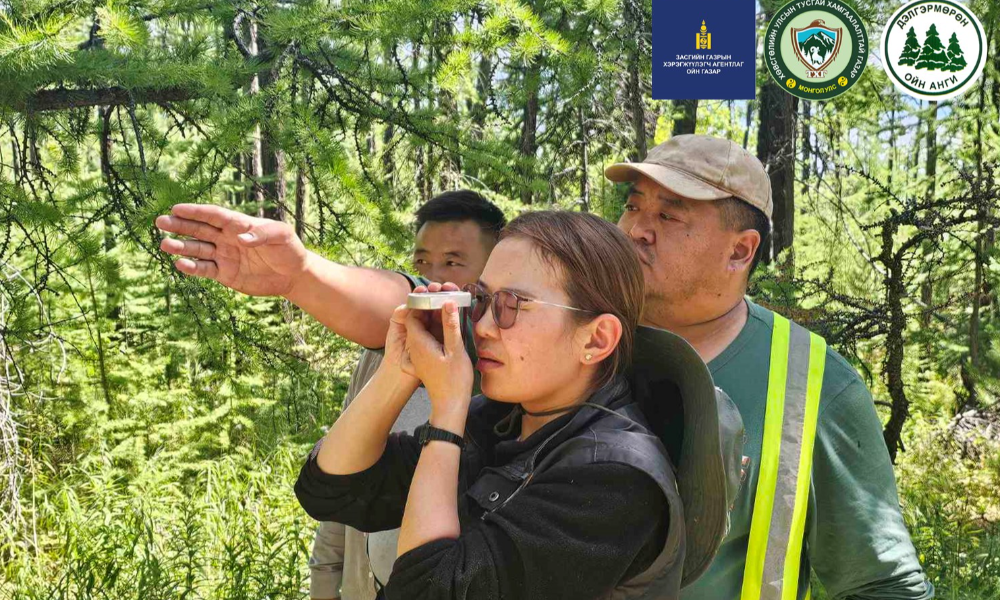 ХӨВСГӨЛ НУУРЫН МОДОН ХҮЙ АРЛЫН ОЙН САНД ОЙ ЗОХИОН БАЙГУУЛАЛТ, ОЙН ТООЛЛОГЫН ХЭМЖИЛТ ХИЙВ
