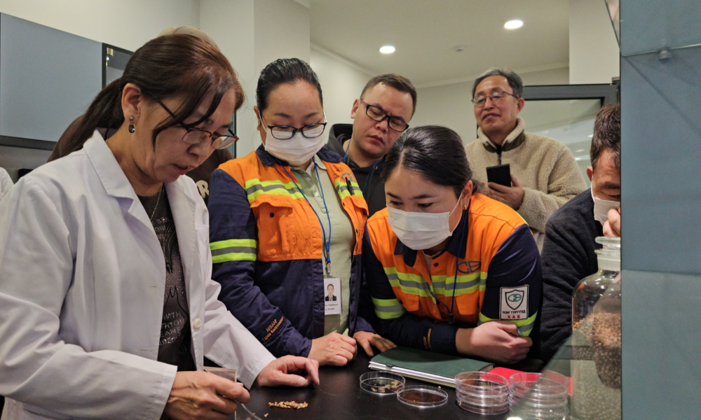 ОНОЛ, ПРАКТИК ХОСОЛСОН СУРГАЛТ ЯВАГДЛАА