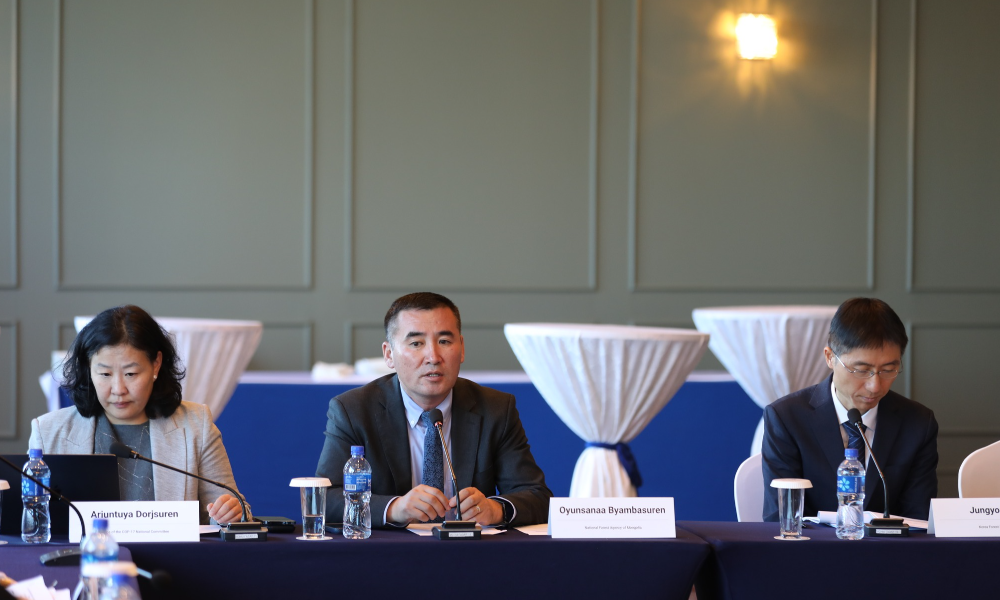 ЦӨЛЖИЛТ, ГАЗРЫН ДОРОЙТОЛ, ХУУРАЙШИЛТЫН АСУУДЛААРХ ЗҮҮН ХОЙД АЗИЙН ХАМТЫН АЖИЛЛАГААНЫ СҮЛЖЭЭНИЙ УДИРДАХ ХОРООНЫ 12 ДУГААР ХУРАЛ БОЛЖ БАЙНА